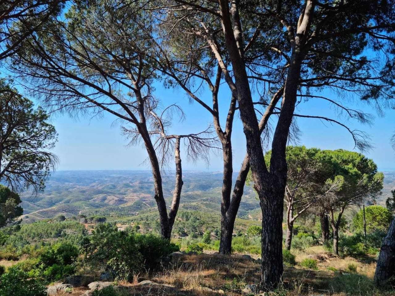 Villa Quinta da Idalina Monchique Esterno foto