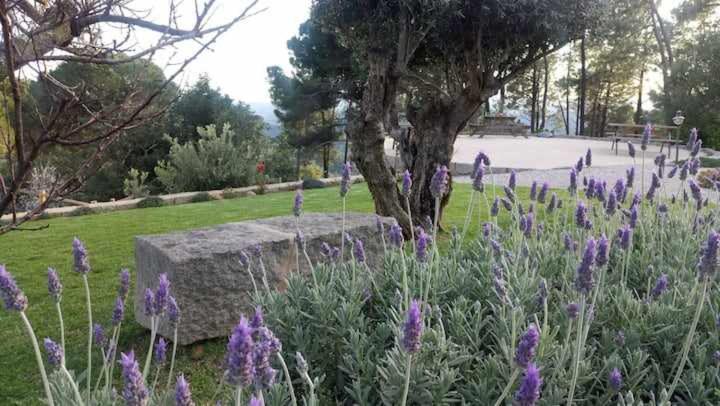 Villa Quinta da Idalina Monchique Esterno foto