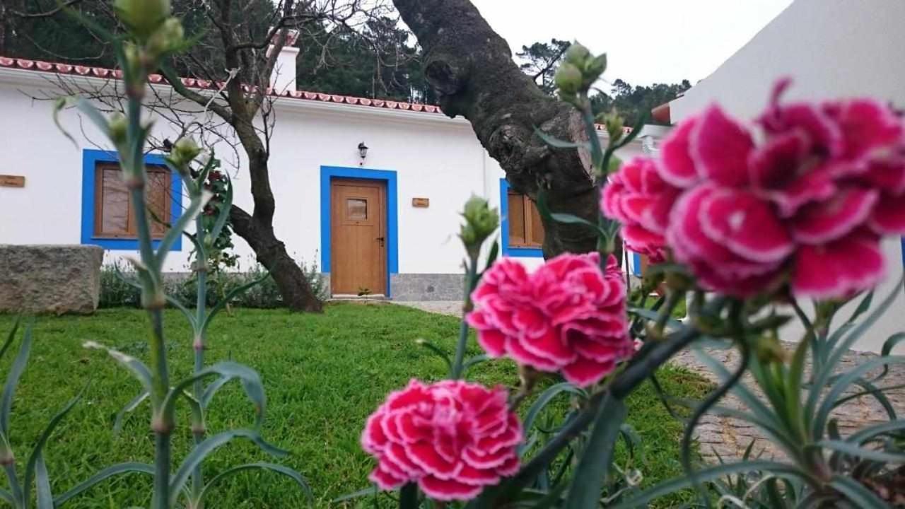 Villa Quinta da Idalina Monchique Esterno foto