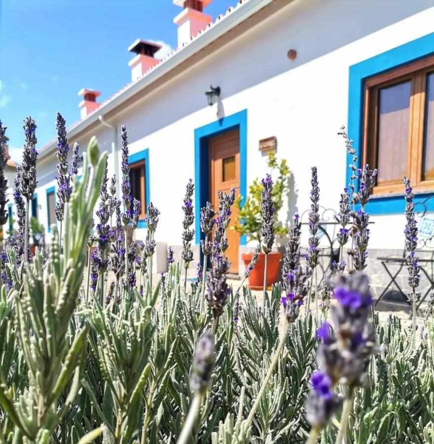 Villa Quinta da Idalina Monchique Esterno foto