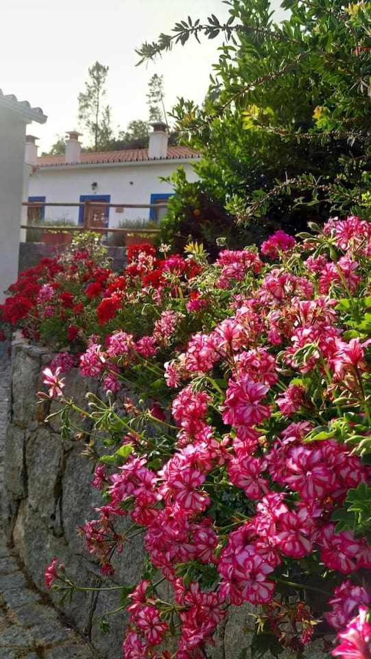 Villa Quinta da Idalina Monchique Camera foto
