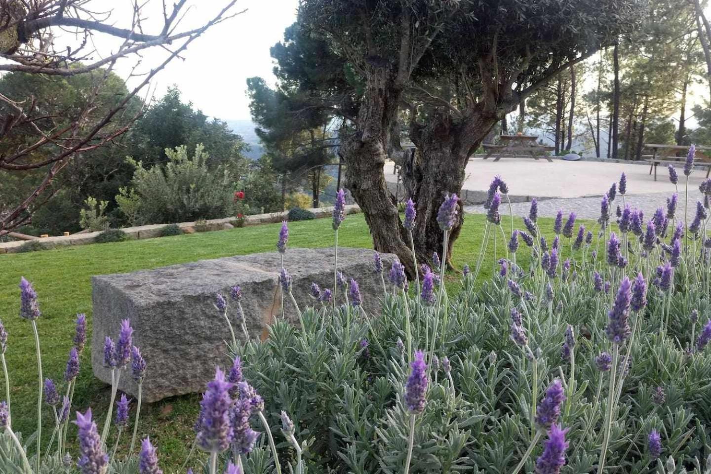 Villa Quinta da Idalina Monchique Camera foto